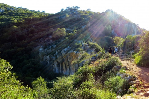 Sunflare in the Golan by Callie Joseph | Digital photograph printed on fine art paper
Large glossy or lustre print -- print only (no mountin Sunflare in the Golan